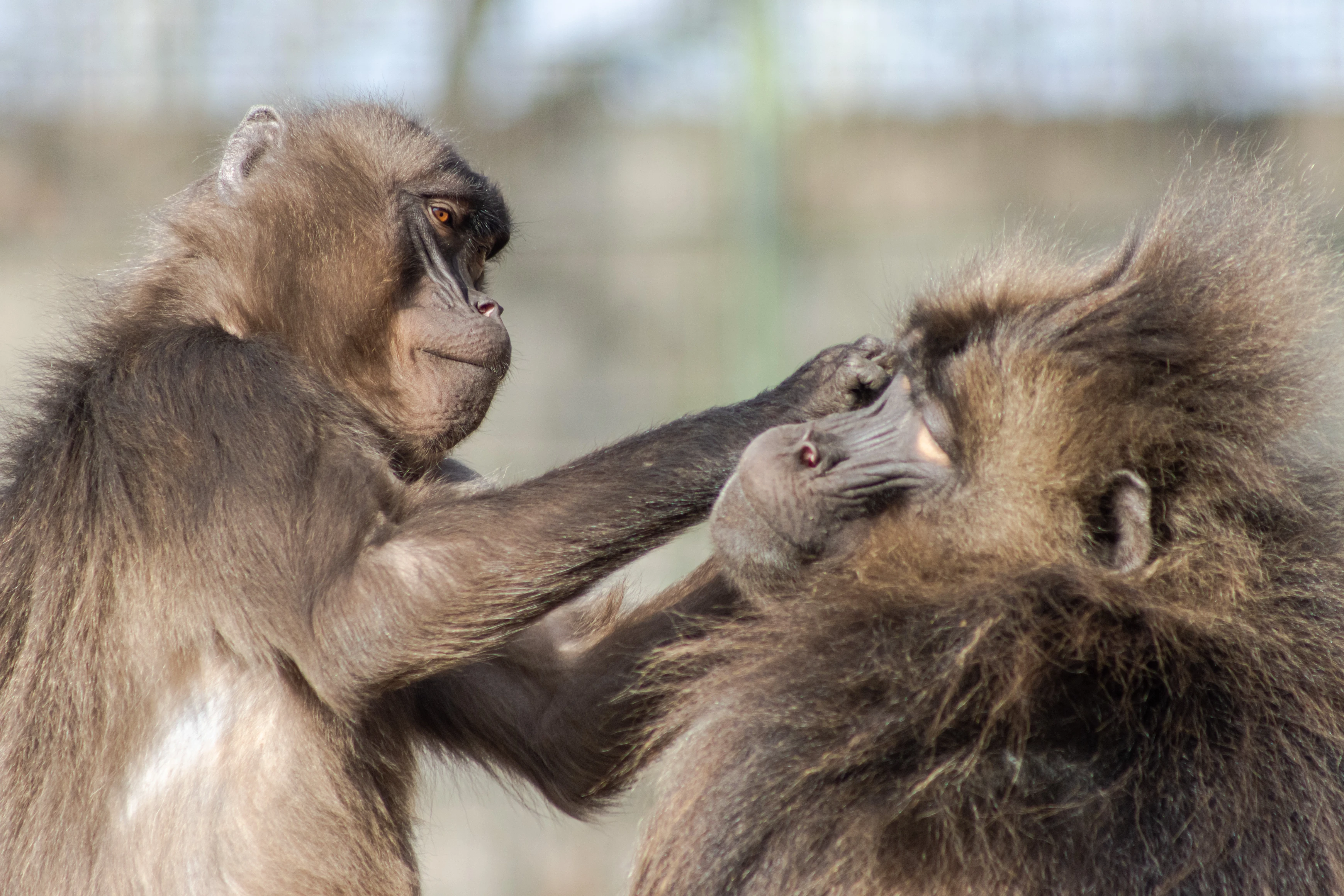 Nature & Wildlife - Image 10